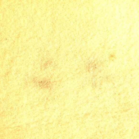 Pendleton Beaver State Turtle Wool Blanket , Vintage - Picture 6 of 9